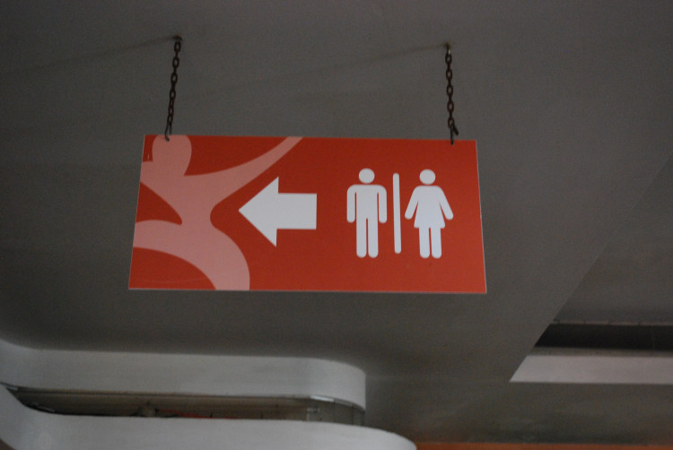Placas (34)